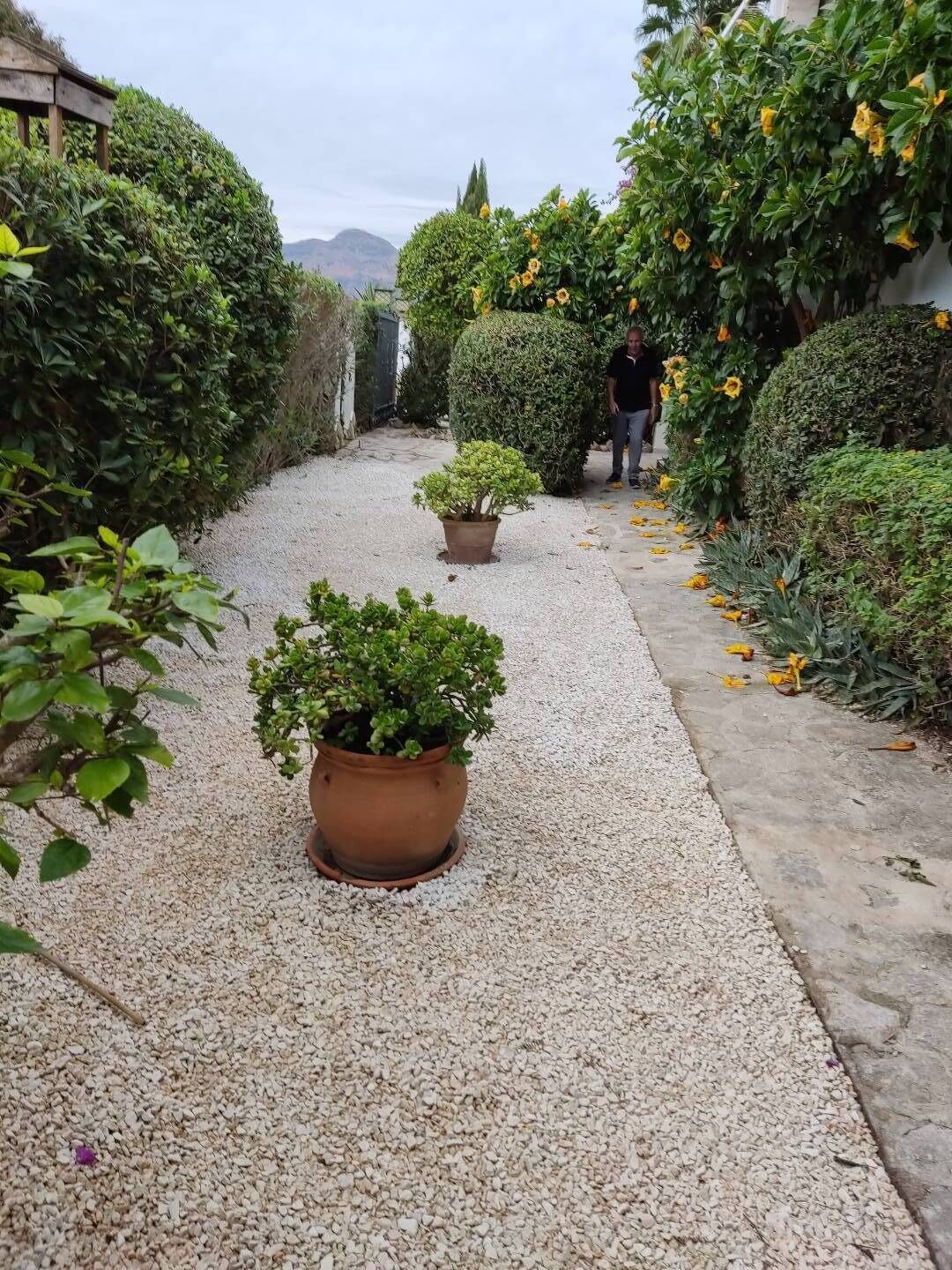 Un chemin de gravier bordé d’une végétation luxuriante et de plantes en pot.