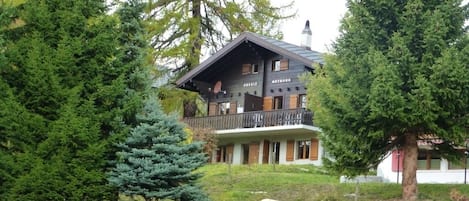 Extérieur