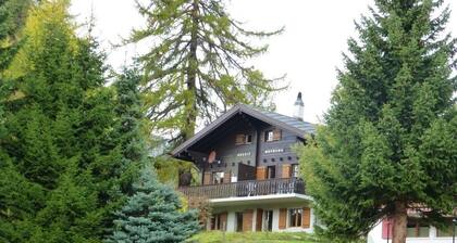 Spacious 7-person chalet with 4 bedrooms in varied ski area Bellwald Wallis + P