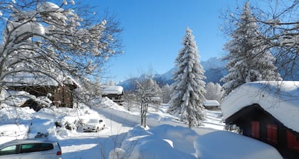 Spacieux 7 personnes chalet avec 4 chambres du domaine skiable varié Bellwald