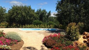 En swimmingpool omgiven av vackert anlagda trädgårdar med olika växter och blommor.