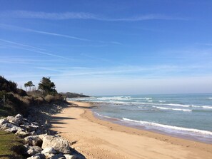 A sandy beach with rocky outcrops and sparse vegetation.