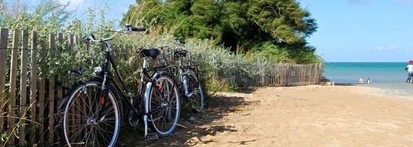Bicycles parked along a sandy beach path with a wooden fence and trees in the background.