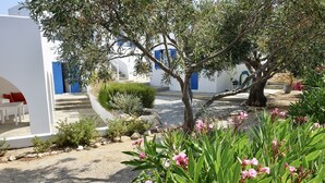 Un patio con un edificio blanco, contraventanas azules y un árbol.
