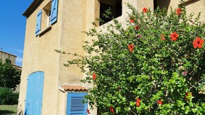 Un bâtiment traditionnel avec une façade beige, des volets bleus et un grand arbuste en fleurs devant.