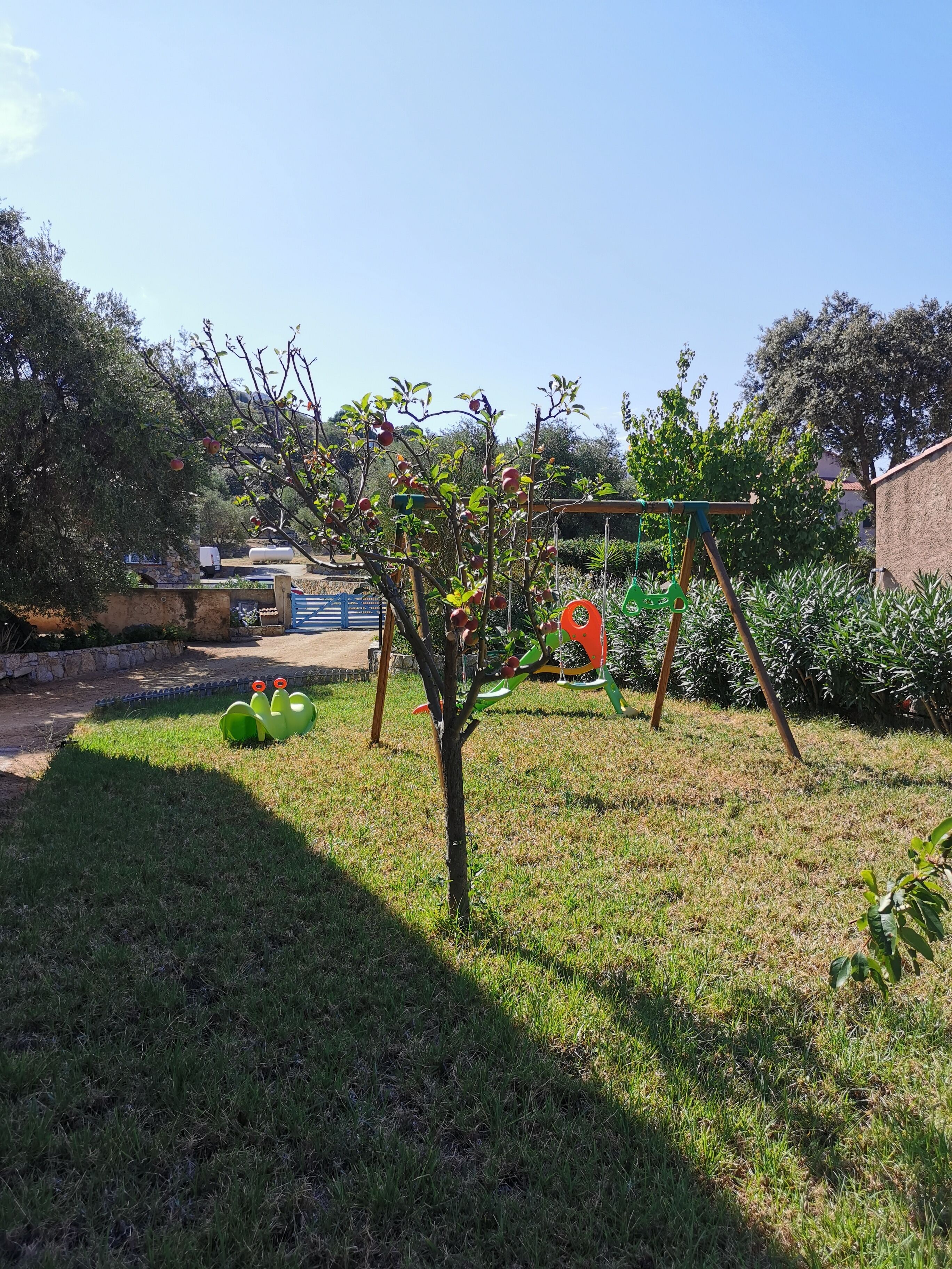 Children's area