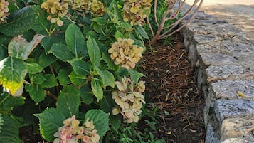 DĂ©tail de lâextĂ©rieur