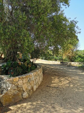 Property grounds - 🏡 Renovated Family Home with Garden & Beach 10 min Walk (Monticello)