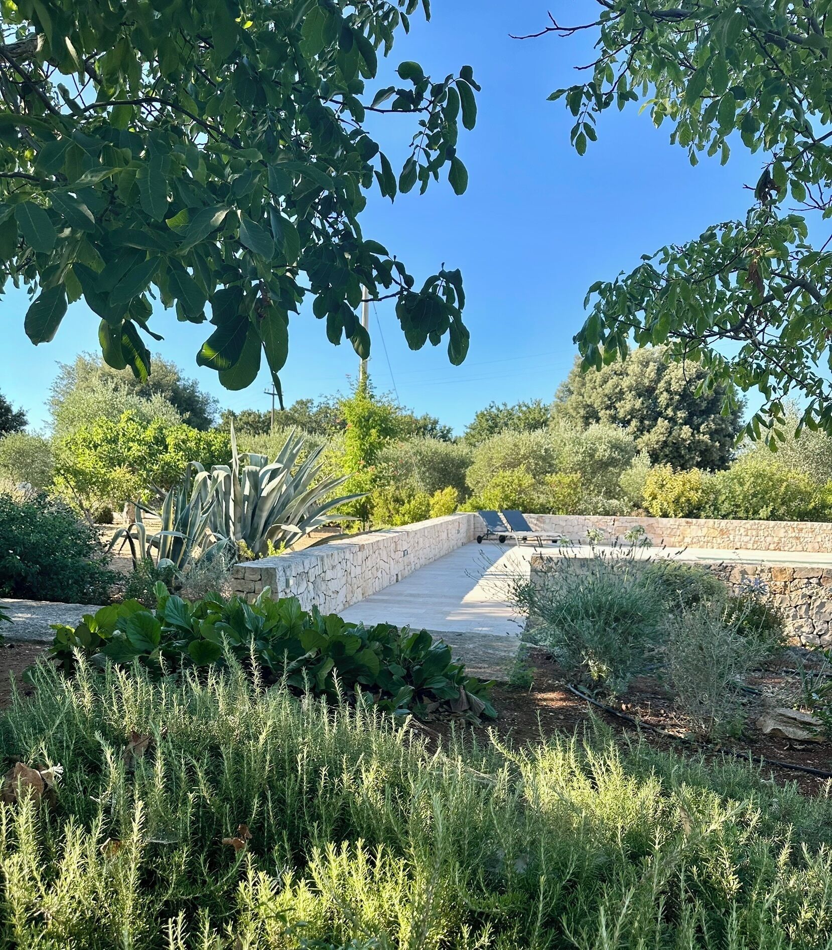 Áreas de la propiedad