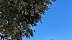 A stone building with a red door, surrounded by olive trees and a clear blue sky. - Beautiful Trullo Villa with private saltwater pool and large enclosed garden (Locorotondo)