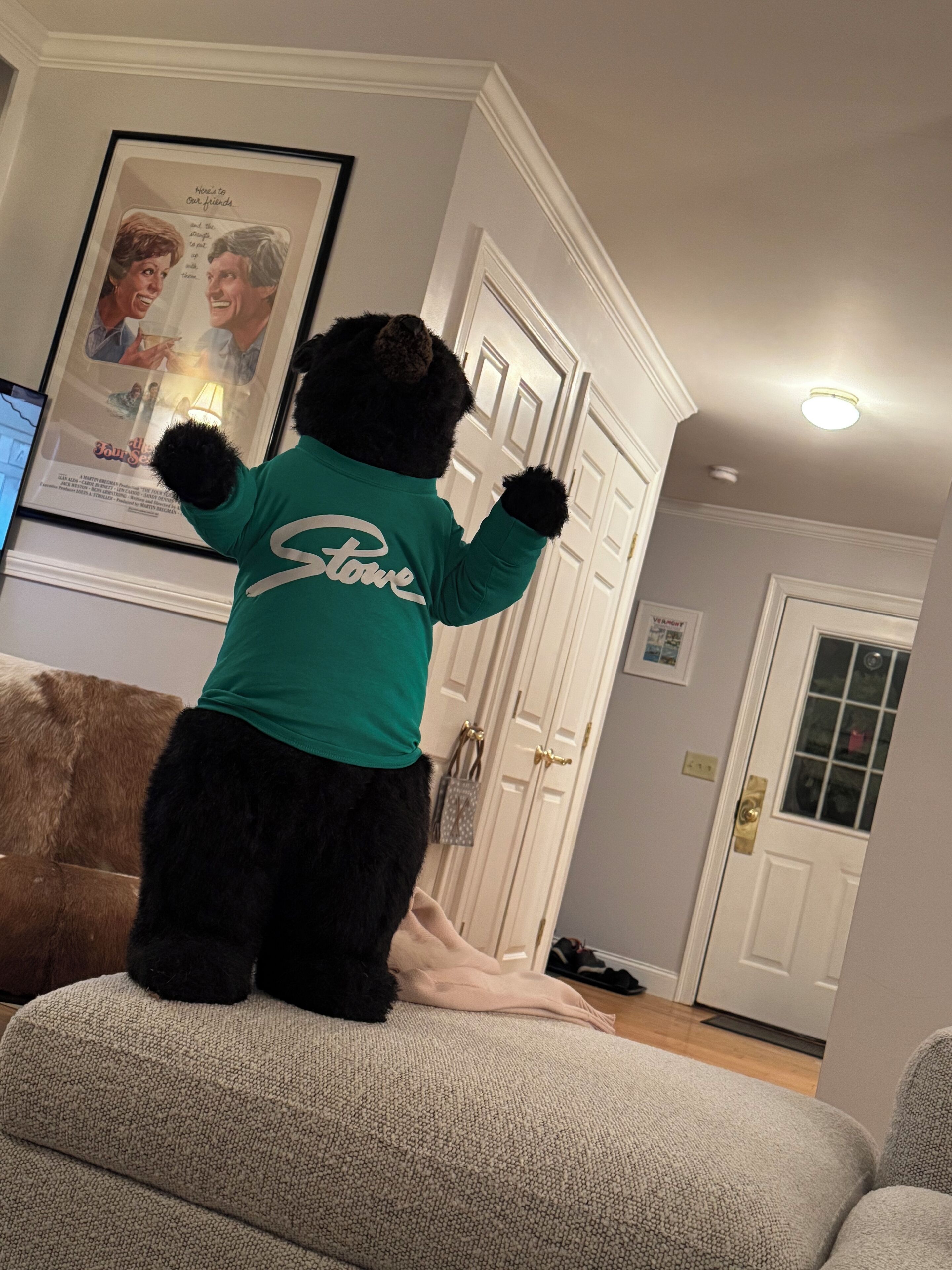A person in a green shirt with 'Stone' on the back, standing in a room with a framed picture on the wall, a door, and a brown couch.