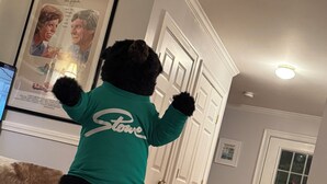 A person in a green shirt with 'Stone' on the back, standing in a room with a framed picture on the wall, a door, and a brown couch. - Dates opened for Fall! new discounted rates for September. (Stowe)