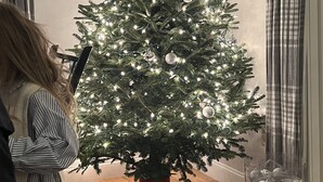 A Christmas tree with lights and ornaments, a framed picture on the wall, and a glass jar with decorations on the floor. - Dates opened for Fall! new discounted rates for September. (Stowe)