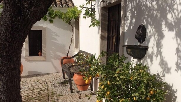 A cobblestone courtyard with potted plants and a tree. - 2 Bedroom, Fully Air-conditioned Country House With Large Private Pool (santa barbara de nexe)