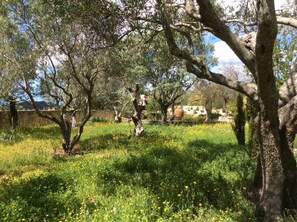 Overnattingsstedets uteområder