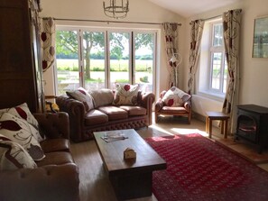 TV, fireplace, DVD player