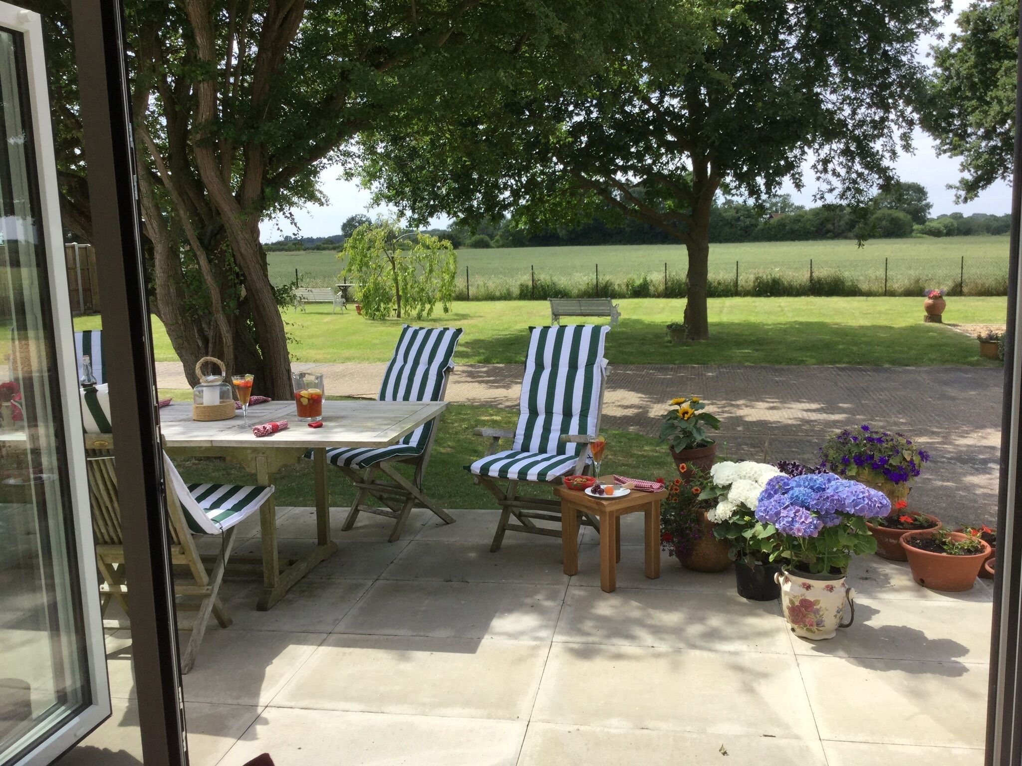Une terrasse extérieure avec une table et des chaises, entourée de plantes en pot et offrant une vue sur un champ verdoyant.