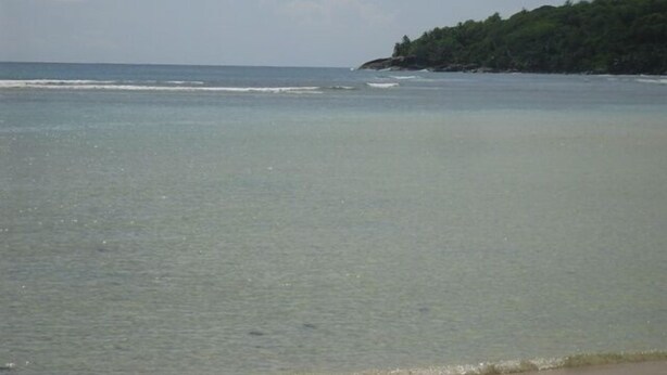 A beach with clear water and a forested hill in the background.