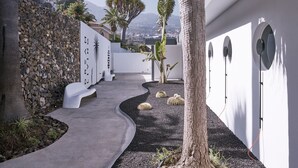 Un sentier extérieur moderne, agrémenté de bancs blancs, d’un palmier et de cactus.