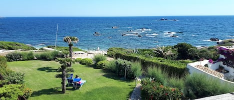 Vista costera con césped, una palmera y una persona sentada en una silla azul.