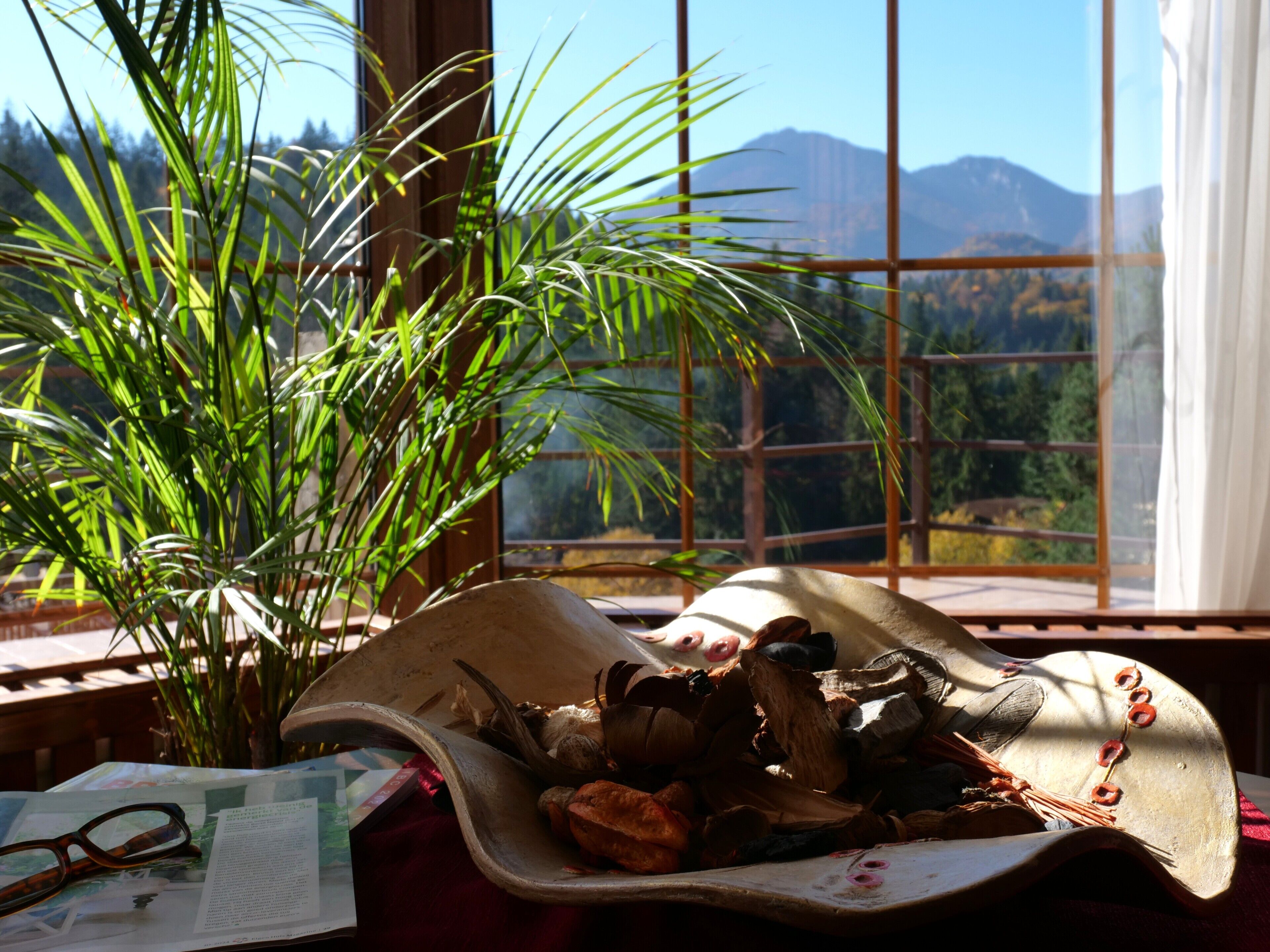 A window with a view of mountains, a plant, and a table with a book and glasses.