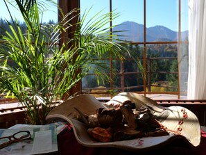 A window with a view of mountains, a plant, and a table with a book and glasses. - Large mountain holiday villa with magnificent views, Brasov (Brasov)
