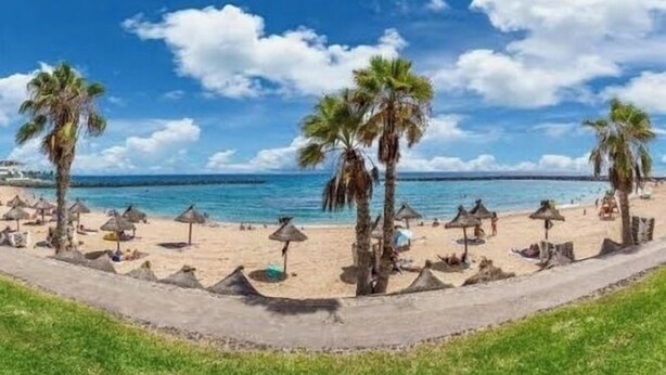 A beach with palm trees and thatched umbrellas. - Modern1 bed apt. full seaview. Beside Golden Mile (Los cristianos)