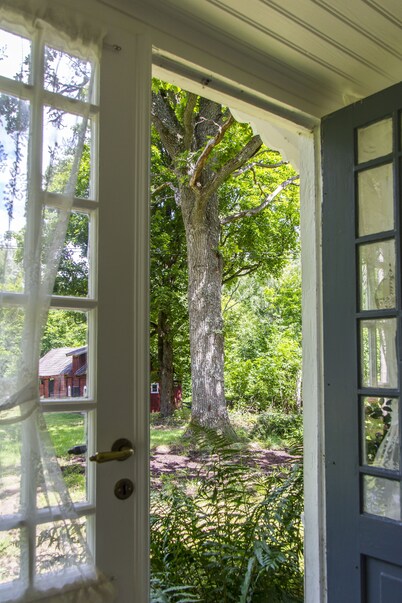 Alleinlage, Nature, Traditional, Family, Torp, Ruhig, Ruhe, Forest, Mushrooms