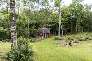 Property grounds - Alleinlage, Nature, Traditional, Family, Torp, Ruhig, Ruhe, Forest, Mushrooms (Karlskrona)