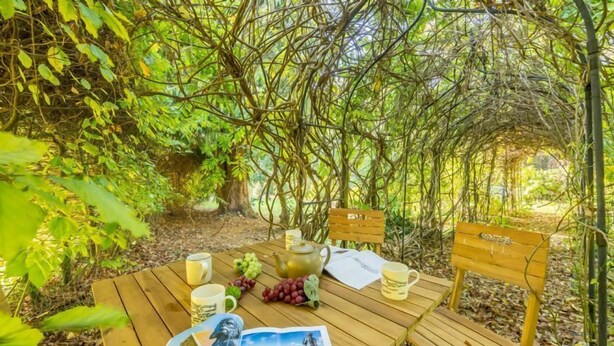A wooden table set outdoors with a teapot, cups, grapes, and a magazine. - Station House, Helhoughton, Norfolk (Helhoughton)