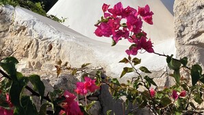 A stone wall with a white dome structure and pink bougainvillea flowers in the foreground.