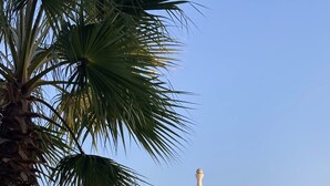 A white building with a conical roof, surrounded by palm trees and agave plants.