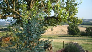 Un jardin où l’on trouve une grande variété de plantes, avec en arrière-plan la vue de champs agricoles.