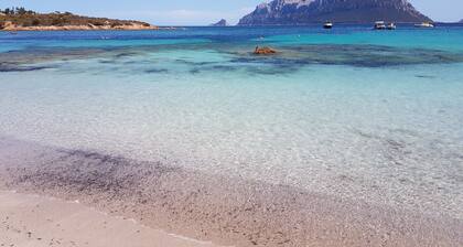 Villa avec parking et véranda à 900 m de la plage - San Teodoro