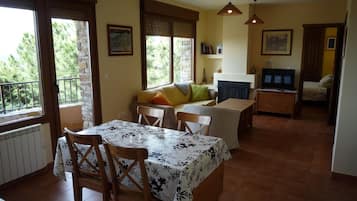 Televisión, chimenea y libros