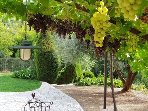 Property grounds - 3* air-conditioned villa for 8 with swimming pool in a quiet location 7 minutes' walk from the village (Cotignac)