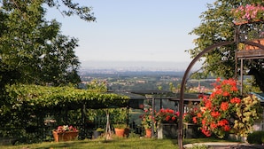 Un jardin agrémenté d’une pergola en métal, de plantes en pot et offrant une vue sur le paysage urbain en arrière-plan.