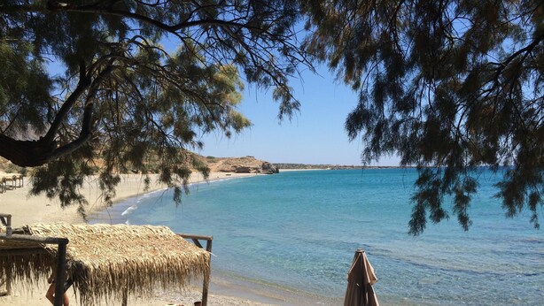 Une plage avec des transats et des parasols, une eau d’un bleu limpide et un arbre au premier plan.