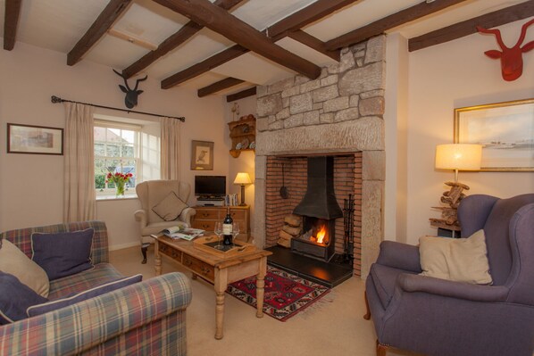 Smart TV, fireplace, books, video library