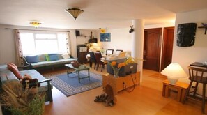 TV, DVD player, books, video library