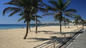 Una playa con palmeras y cielo despejado.