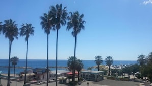 A coastal view with tall palm trees, a clear blue sky, and a marina with boats. - Small house by the sea (refurbished October 2025) (Imperia)