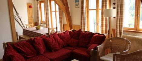 TV, DVD player, livros