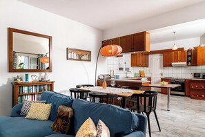 TV connectée, cheminée, lecteur de DVD, livres