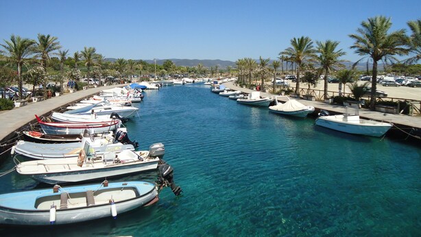 Un puerto deportivo con barcos amarrados a lo largo de una vía fluvial tranquila, rodeado de palmeras y un cielo despejado.
