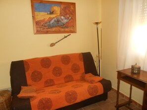 TV, fireplace, DVD player, books