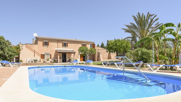 Pool - Finca Ca'n Miquel - Felanitx (Felanitx)