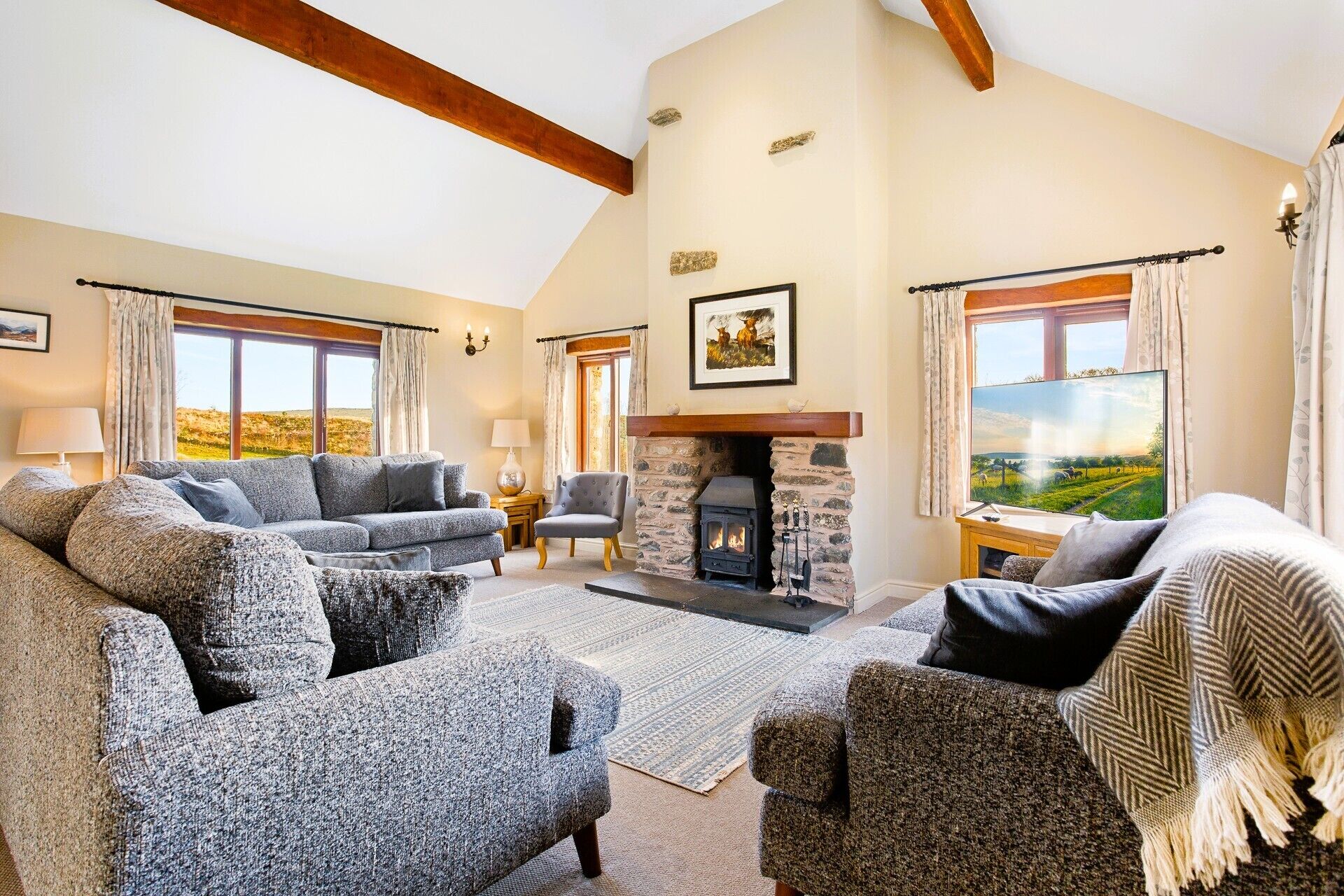 Smart TV, fireplace, video games, DVD player