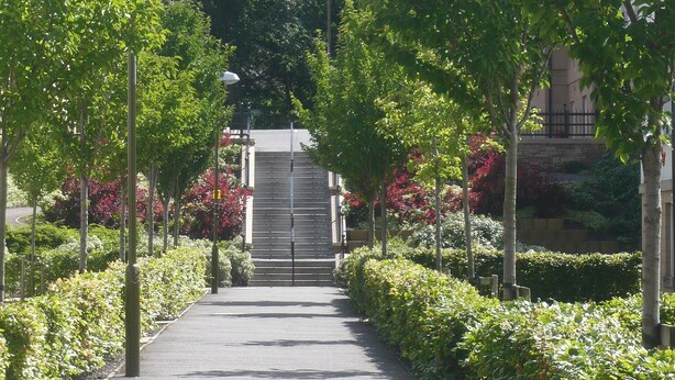 Un camí que condueix a un edifici amb una escala, envoltat d'arbres i vegetació.