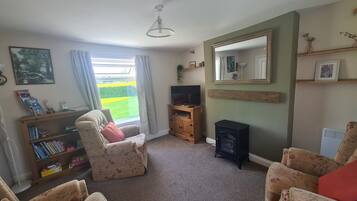 TV connectée, cheminée, lecteur de DVD, livres